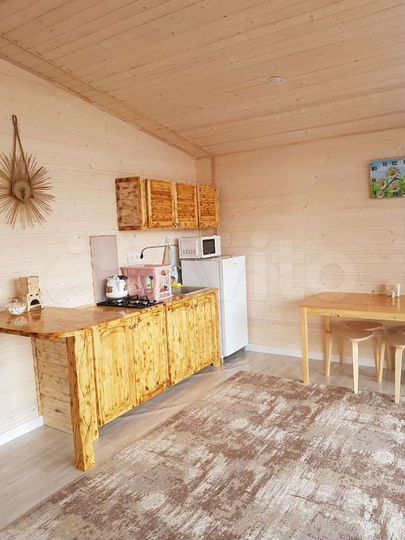 Дом 48 м² на участке 23 сот.