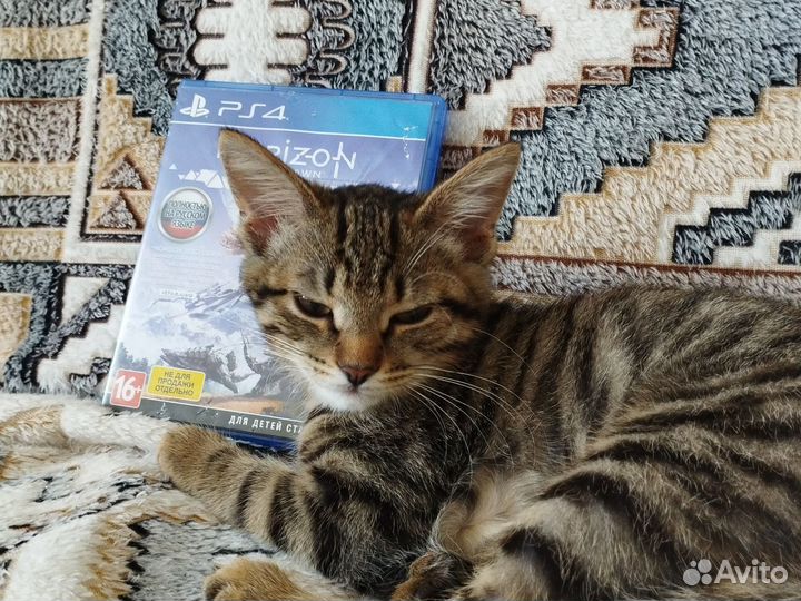 Игры на ps4 б/у/цена в описании