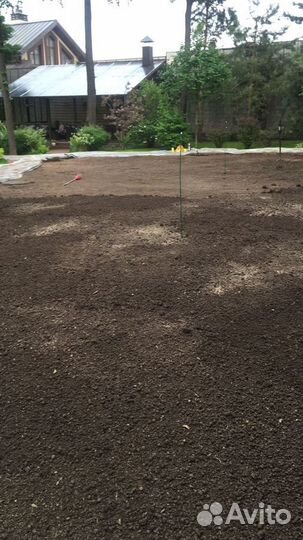 Рулонный газон