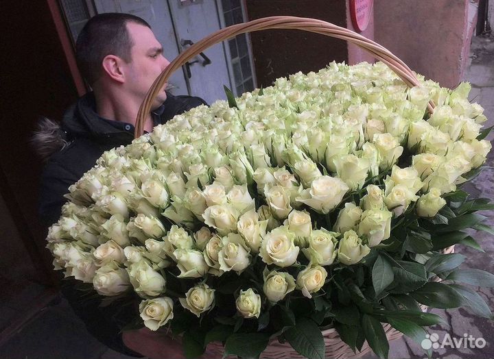 101 роза цветы букеты доставка 25 51 101 роза