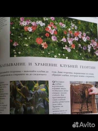 Книга альбом 