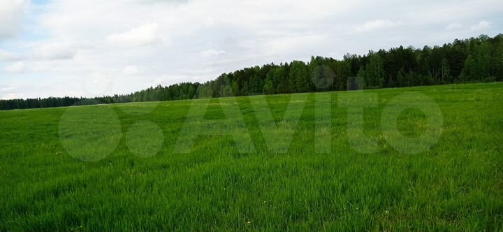Участок 5,32 га (СНТ, ДНП)
