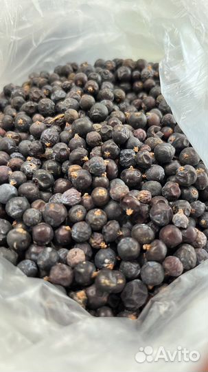 Коробка с можжевельником