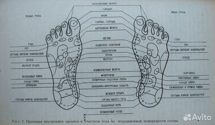 Востоков В. Секреты целителей востока