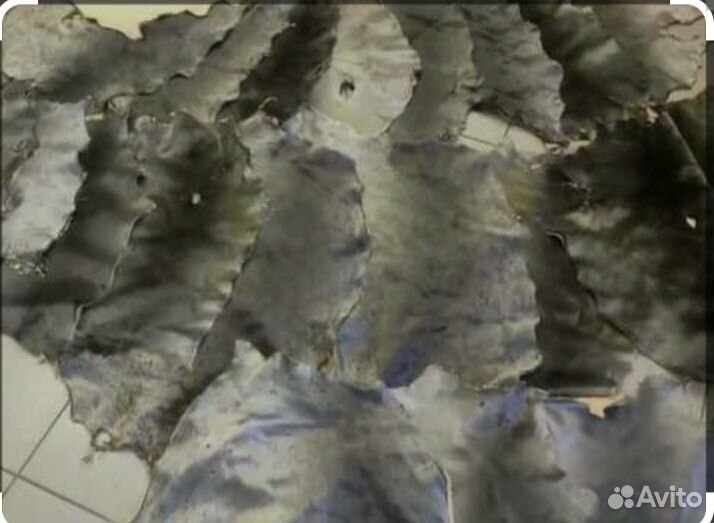 Шкура нерпы