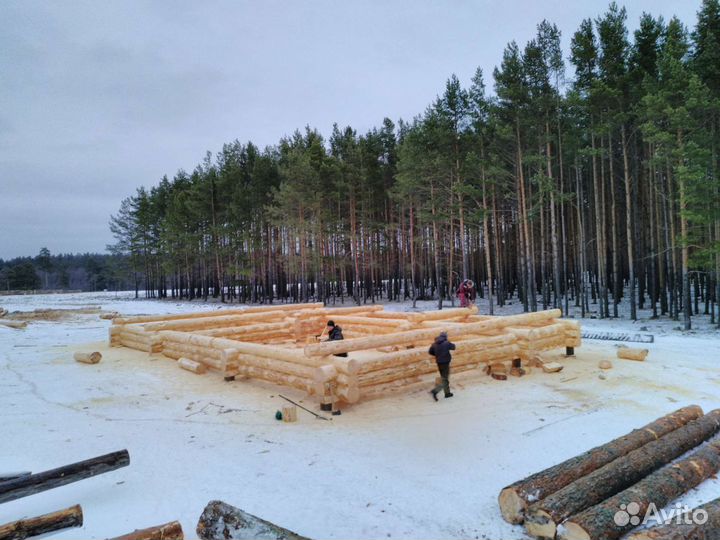 Сруб дома 9 х 12 м