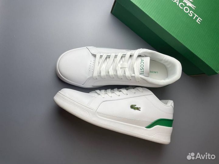 Lacoste кеды мужские