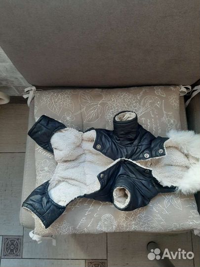 Одежда для собак мелких пород осень -зима