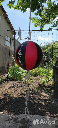 Пневмонии груша