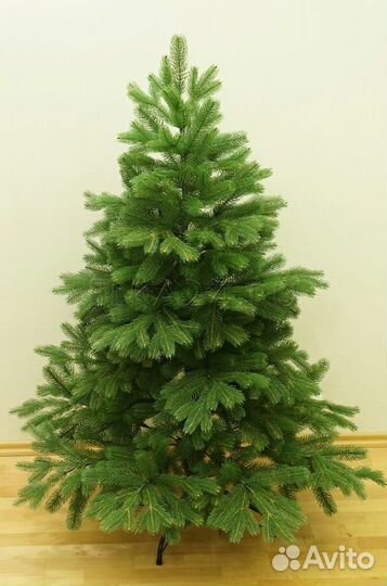 Елка Голландская 185 Царь ёлка