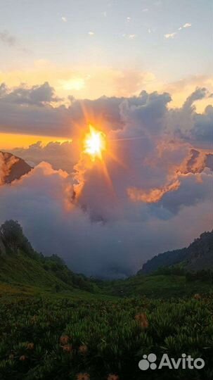 Тур на Красную поляну