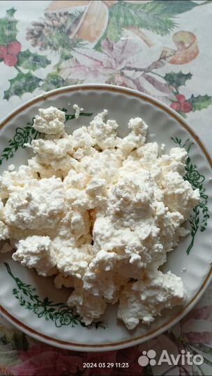 Козье молоко, масло,творог, сливки,сыр, йогурт