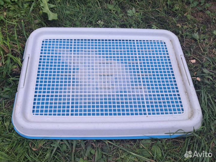 Лоток для собак