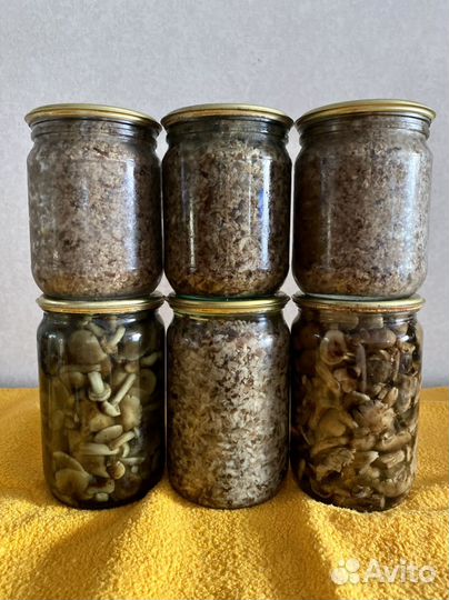 Грибы маринованные(опята, грузди, грибная икра)