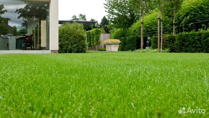 Семена газона восстанавливающего