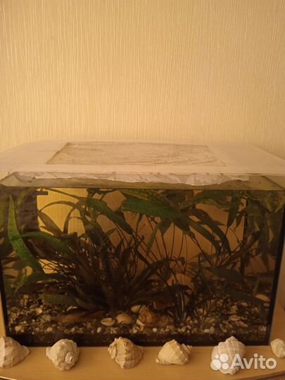 Аквариум