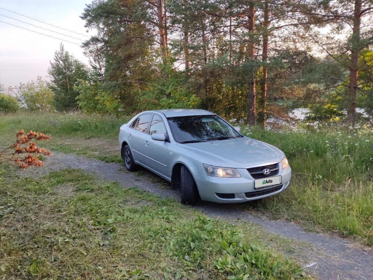 Hyundai Sonata: фото владельца