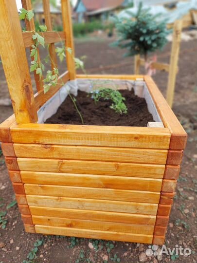 Кашпо со шпалерой