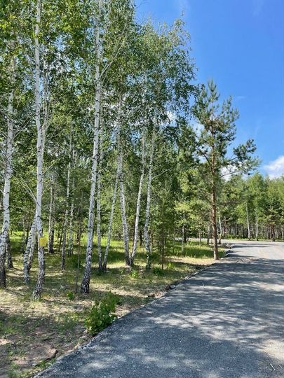 Участок 15 сот. (ИЖС)