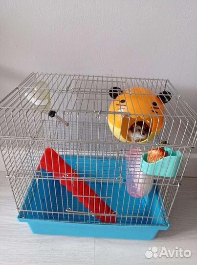 Клетка с приданным и джунгарским хомяком