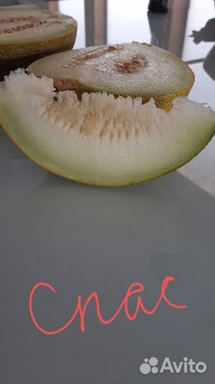 Семена дынь перца томатов