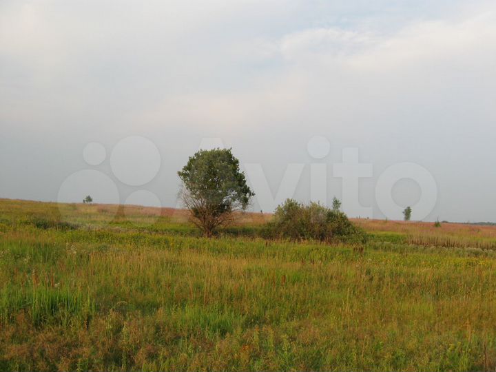 Участок 23 га (СНТ, ДНП)