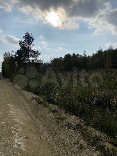 Участок 12 сот. (СНТ, ДНП)