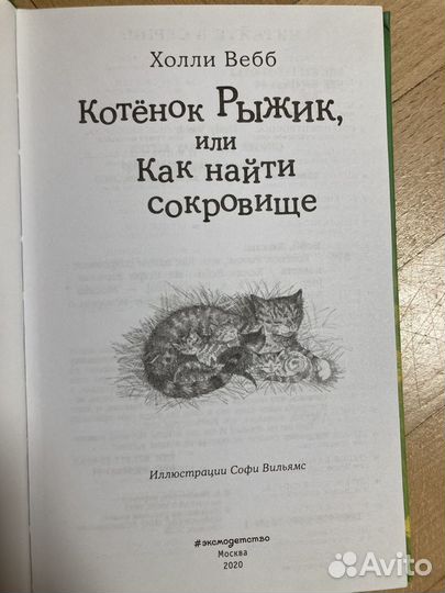 Книга,котёнок Рыжик,или как найти сокровище