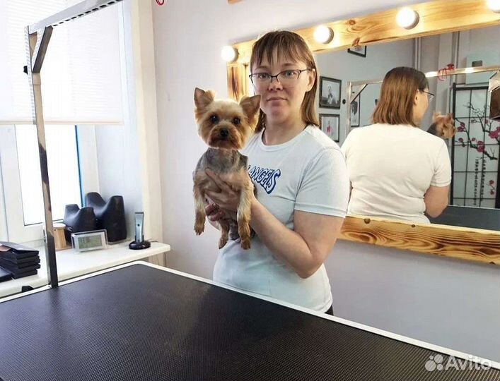 Обучение грумингу. Мастер-классы