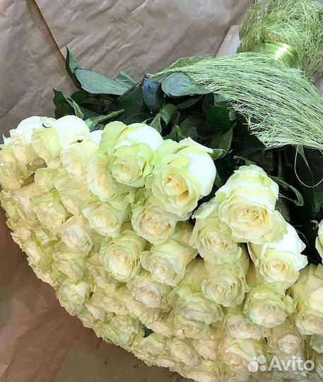 Розы Цветы Букеты 25 51 151 201 101 301 501 опт