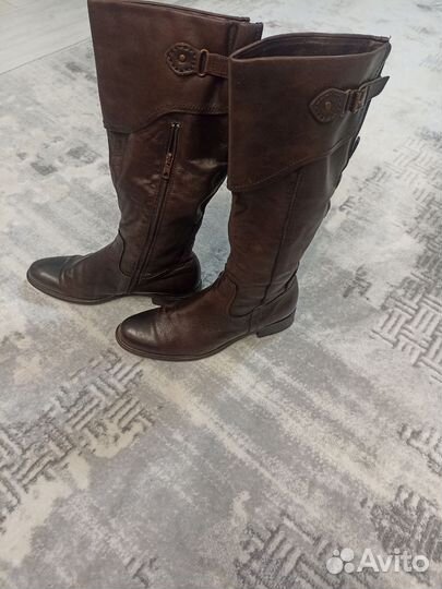 Сапоги осень весна женские натуральная кожа