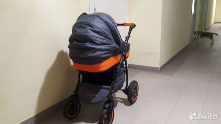 Коляска 2 в 1 adamex enduro