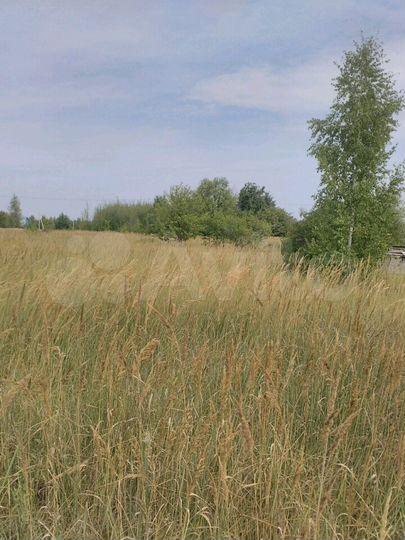 Участок 10 сот. (СНТ, ДНП)