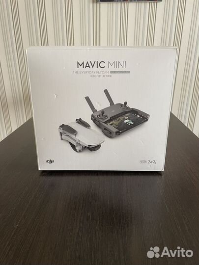 DJI mavic mini