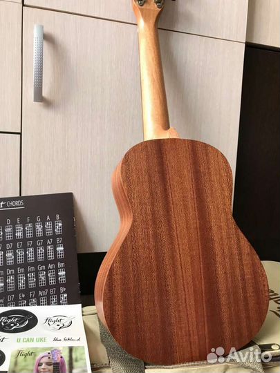 Укулеле flight концерт