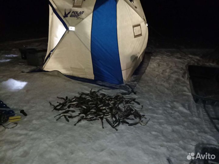 Палатка зимняя Polar Bird 3 T Long