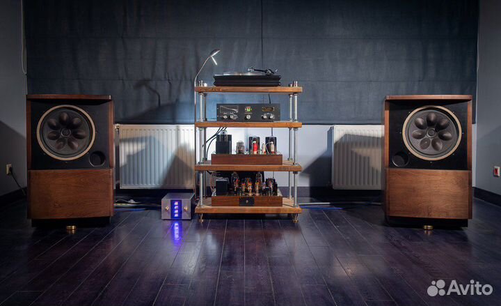 Акустика Hi End, коаксиальный динамик Field coil