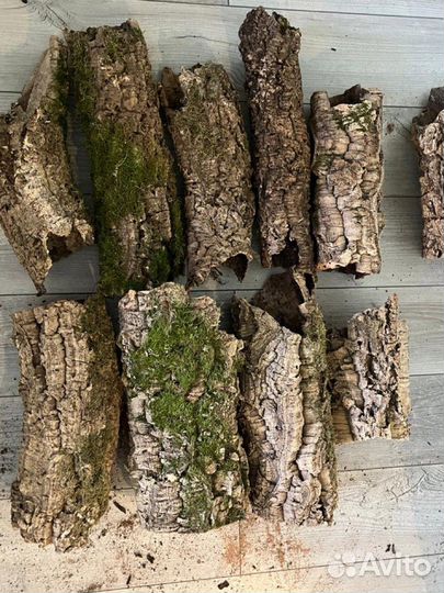 Кора пробкового дуба