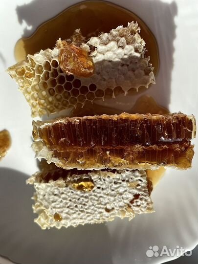 Свежий мёд и мёд в сотах