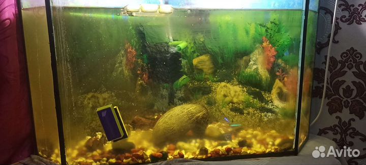 Аквариум