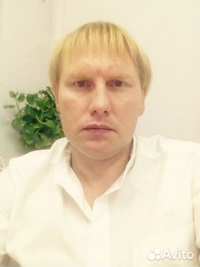Заместитель директора