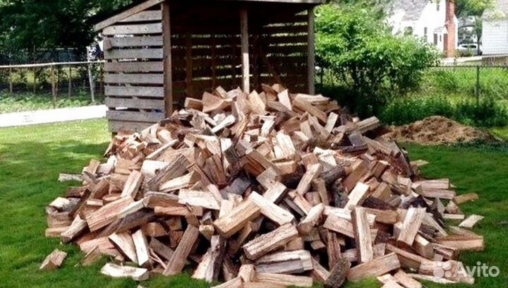 Дрова со Всеволожска