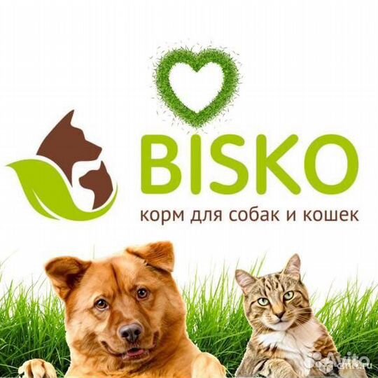 Корм для собак премиум класса