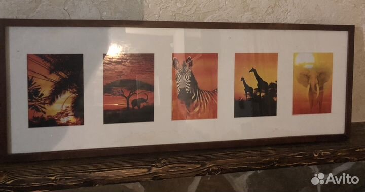 Постеры (декор сафари)