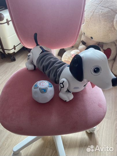 Интерактивная собака робот Дэкел ycoo от Silverlit