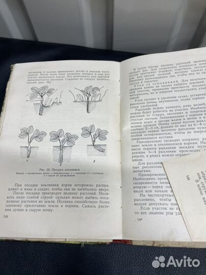 Книга Плодовый ягодный сад 1960г