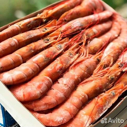 Лангустины с головой
