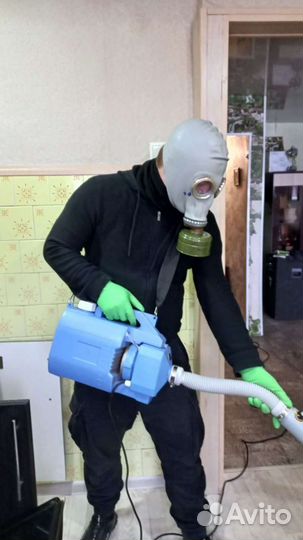 Уничтожение тараканов клопов муравьев шершней