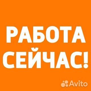 Работа/подработка для каждого без опыта