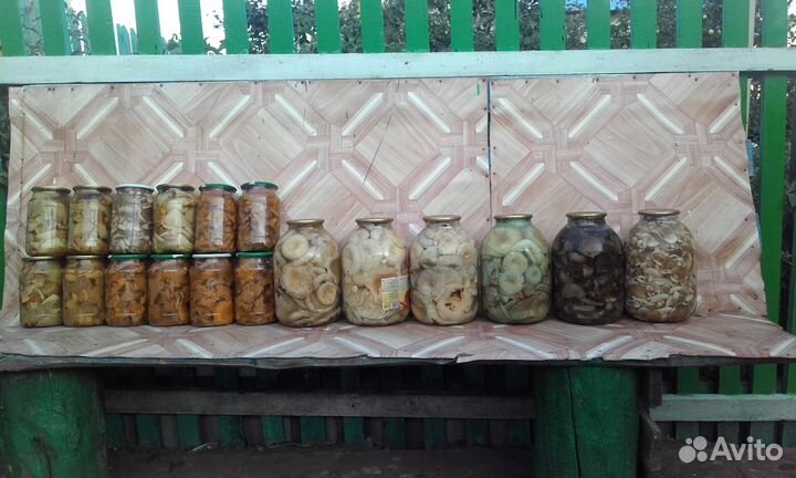 Продажа грибов